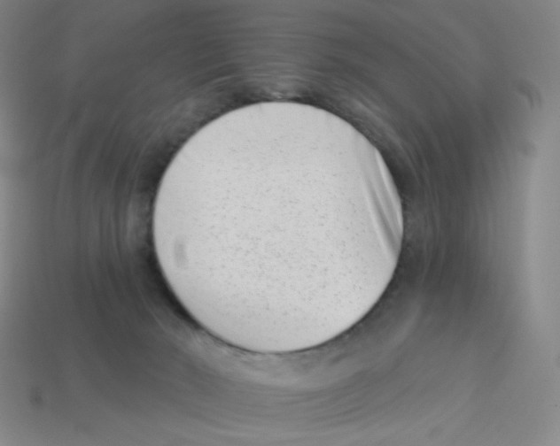 X0000113320030200910131137