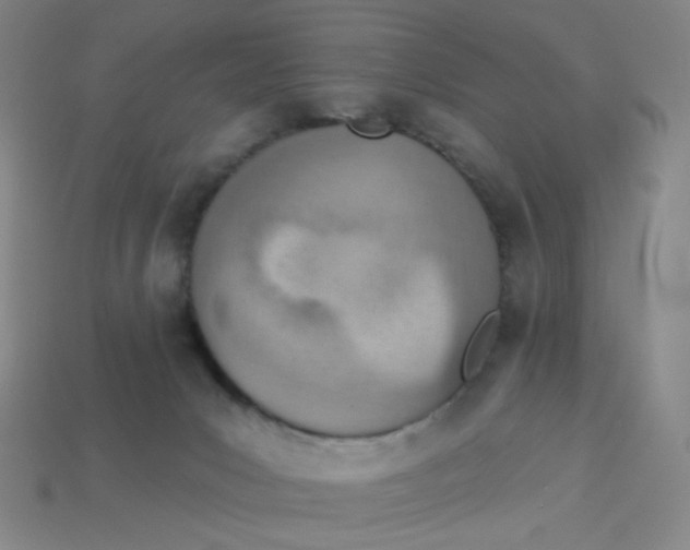 X0000113320031200910131137