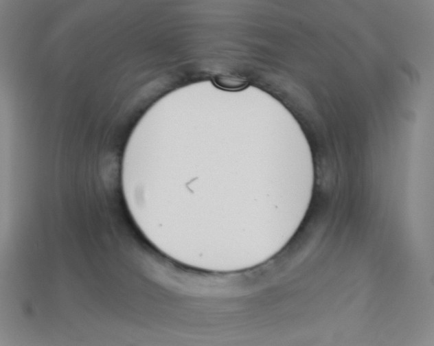 X0000113320036200910131137