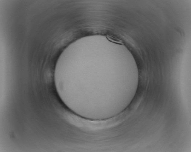 X0000113320039200910131137