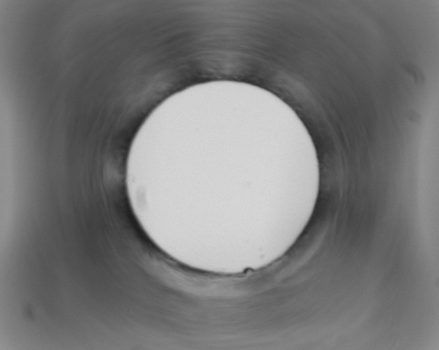 X0000113320040200910131137