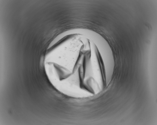 X0000113320041200910131137