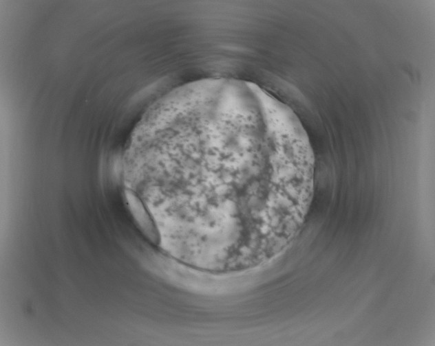 X0000113320047200910131137