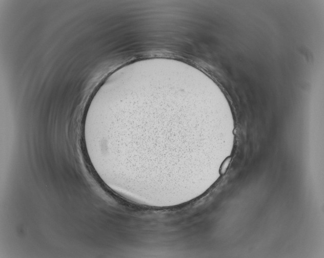 X0000113320049200910131136