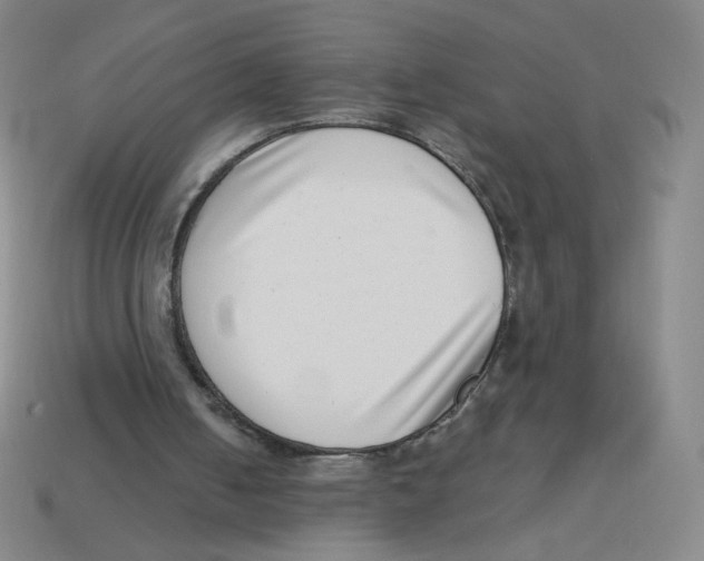 X0000113320050200910131136