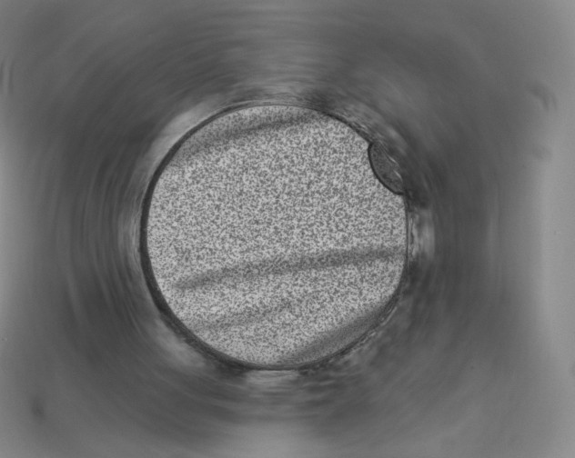 X0000113320051200910131136