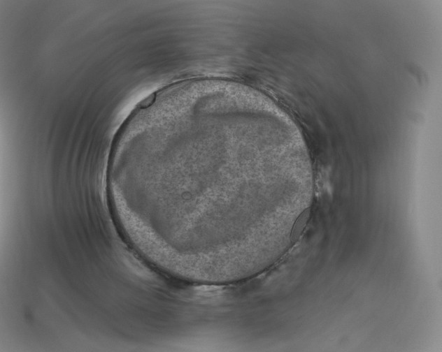 X0000113320052200910131136