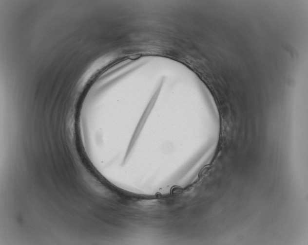 X0000113320054200910131136