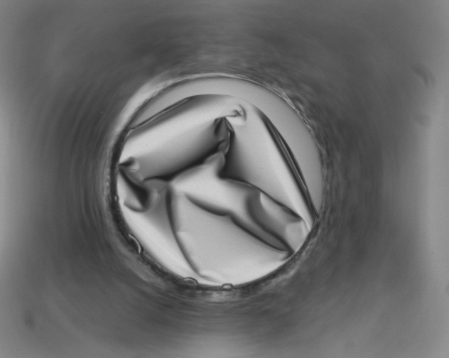 X0000113320056200910131136