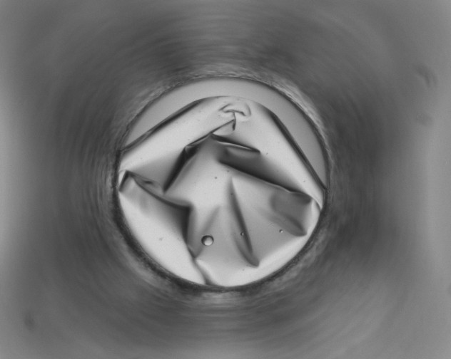 X0000113320057200910131136