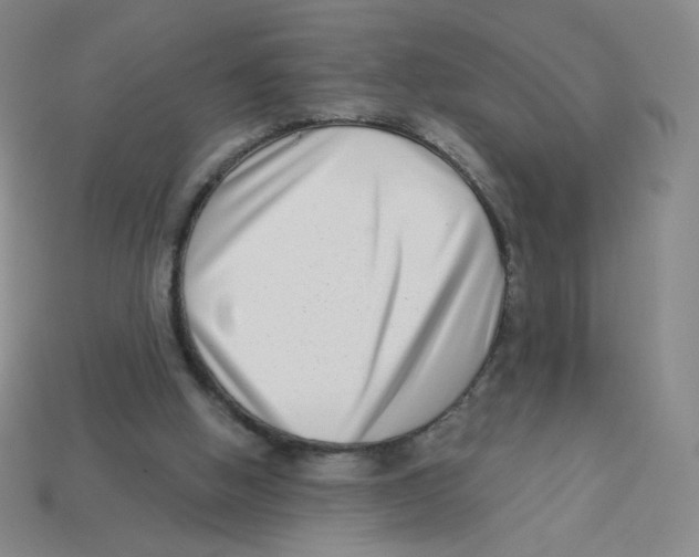 X0000113320058200910131136