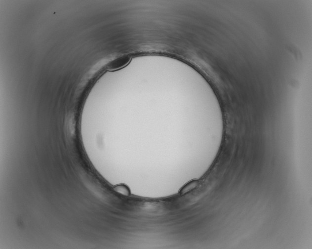 X0000113320060200910131136