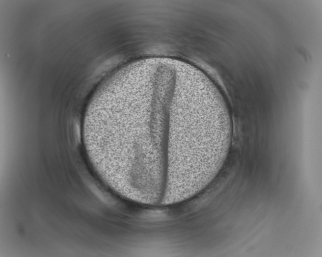 X0000113320061200910131136