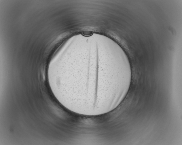 X0000113320062200910131136