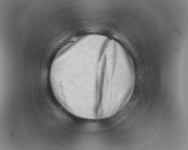 X0000113320066200910131136