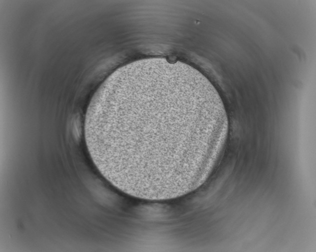 X0000113320069200910131136