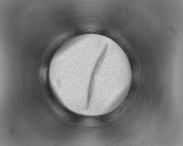 X0000113320070200910131136