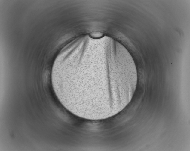 X0000113320071200910131136