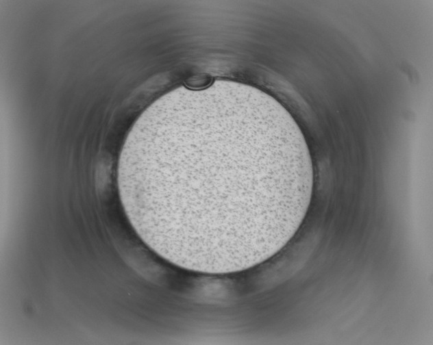 X0000113320073200910131136