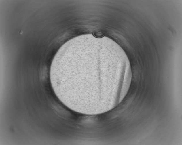 X0000113320077200910131137