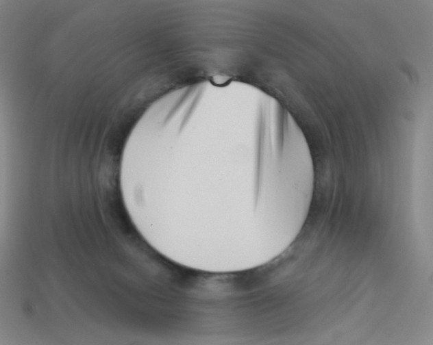 X0000113320078200910131137