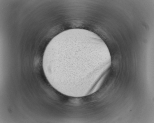 X0000113320079200910131137