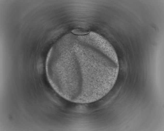 X0000113320080200910131137