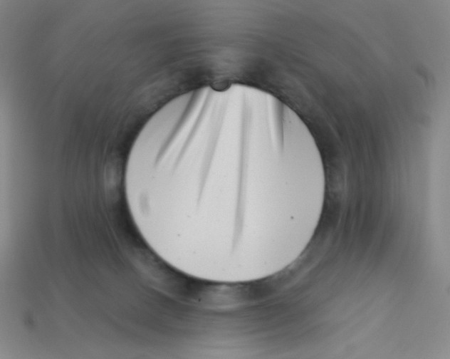 X0000113320082200910131137