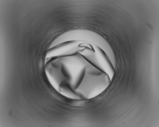 X0000113320084200910131137