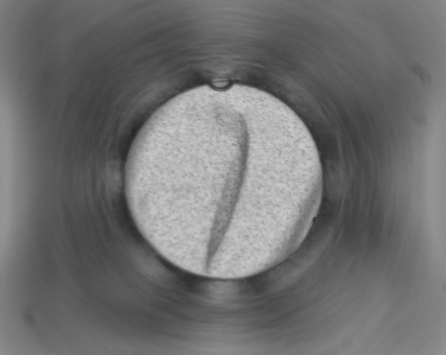 X0000113320085200910131137