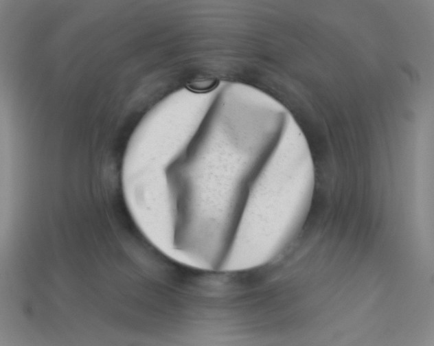 X0000113320086200910131137