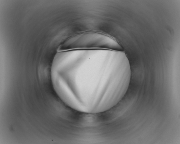 X0000113320088200910131137