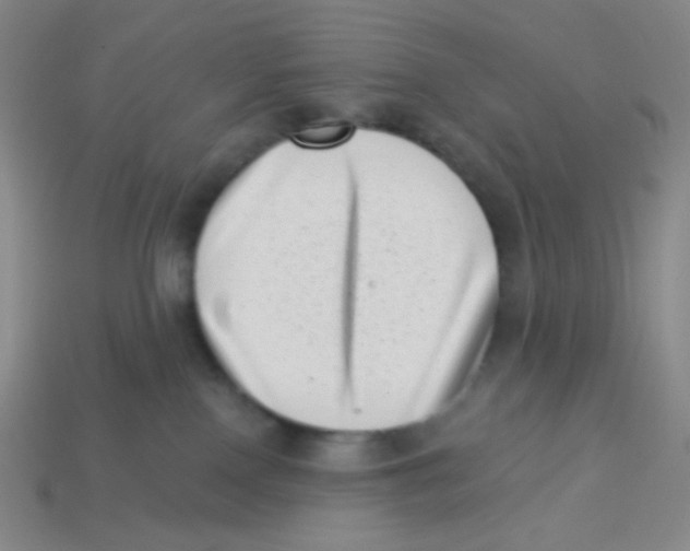 X0000113320090200910131137