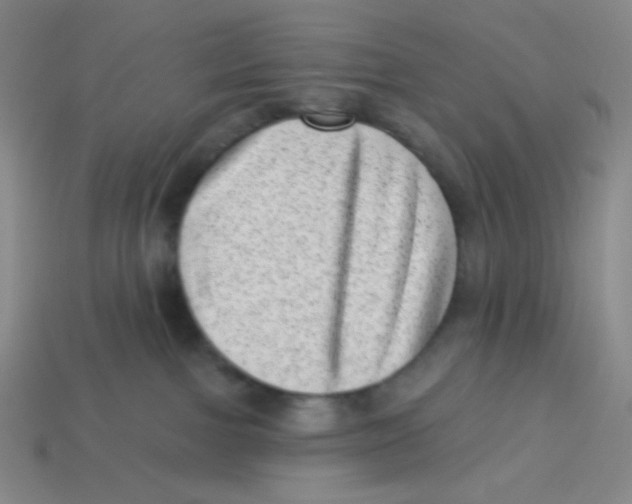 X0000113320091200910131137