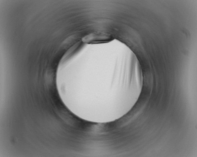 X0000113320092200910131137