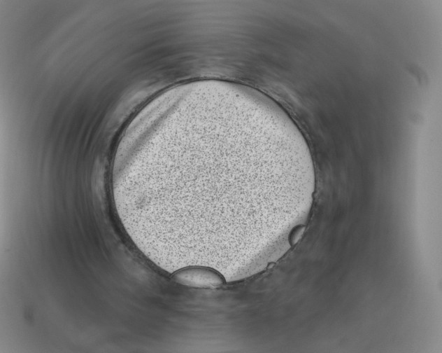 X0000113320098200910131136