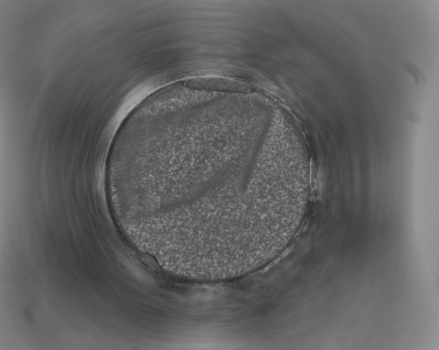 X0000113320099200910131136