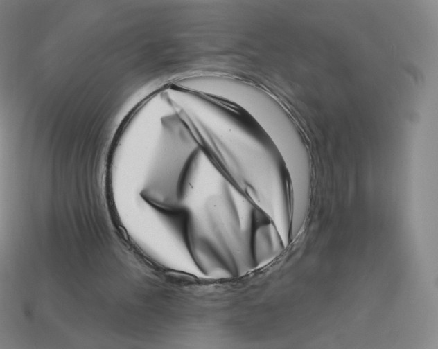 X0000113320100200910131136