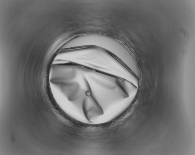 X0000113320101200910131136