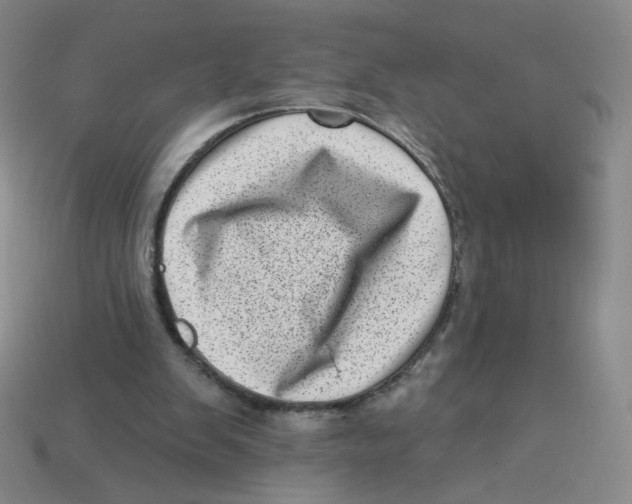 X0000113320103200910131136