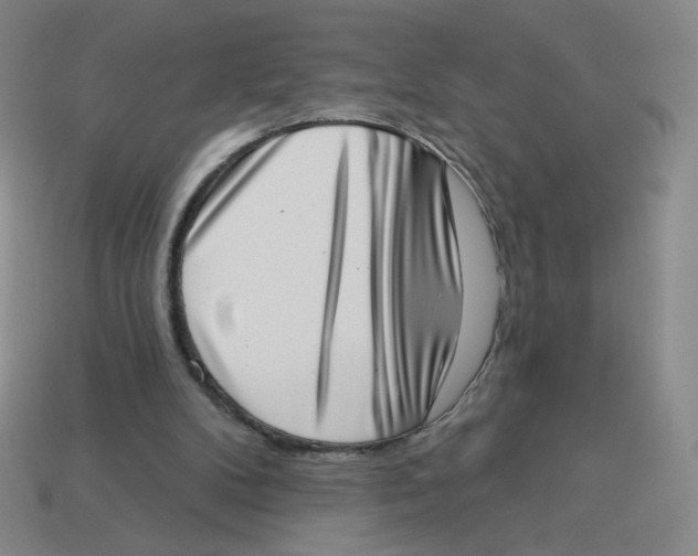 X0000113320104200910131136