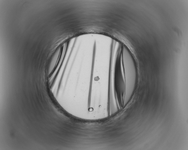 X0000113320105200910131136