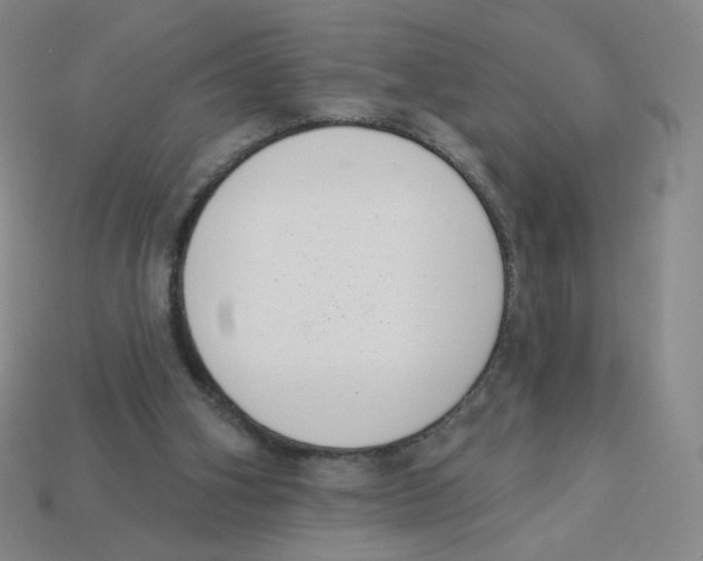 X0000113320106200910131136