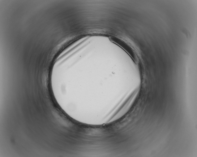 X0000113320107200910131136