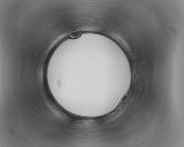 X0000113320108200910131136