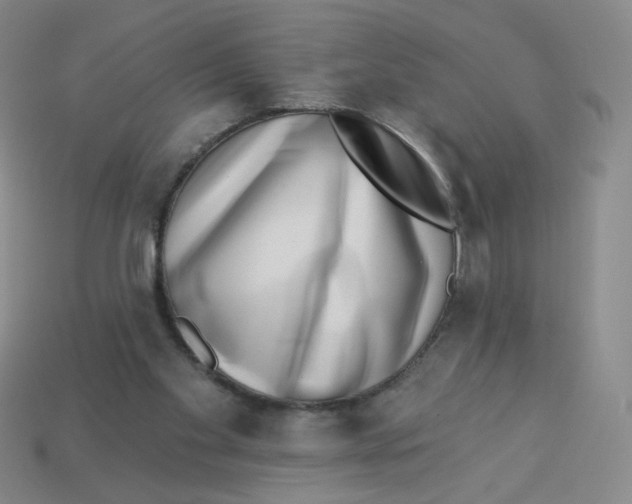 X0000113320109200910131136