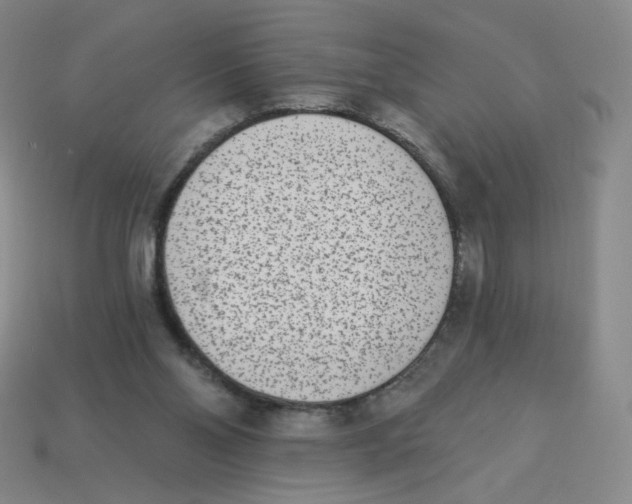 X0000113320110200910131136