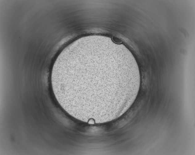 X0000113320111200910131136