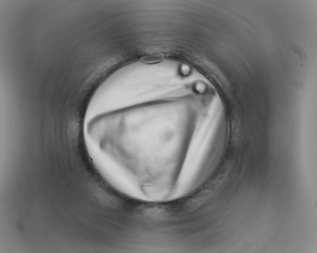 X0000113320113200910131136