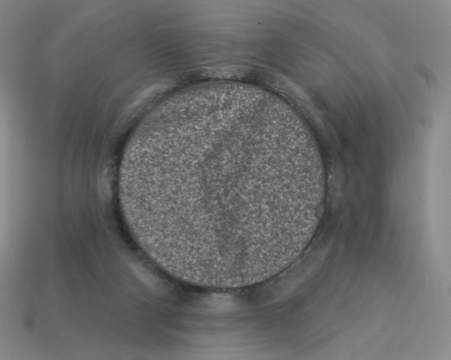 X0000113320114200910131136